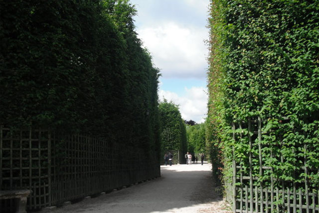 Le Petit Versailles花园