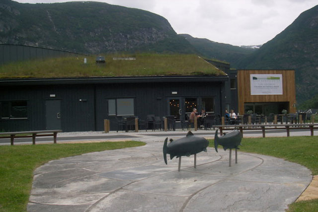 挪威野生三文鱼中心