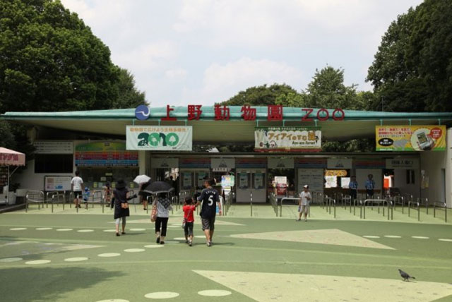 上野动物园
