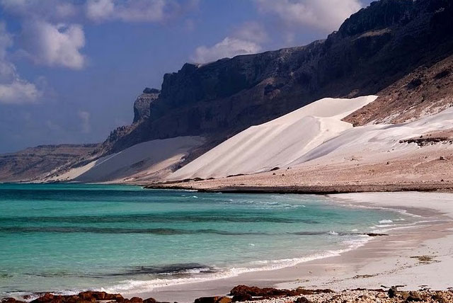 也门索科特拉岛