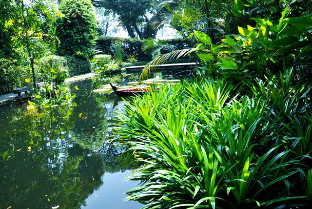 热带香草园