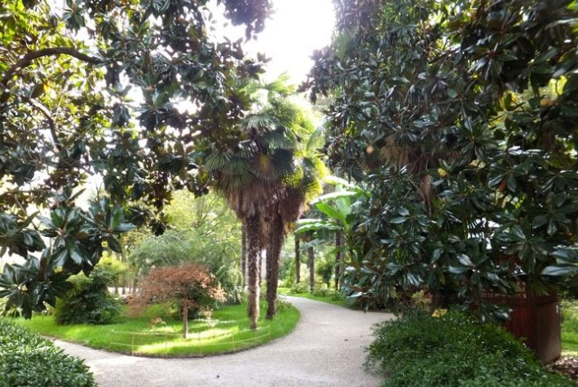 帕多瓦植物园