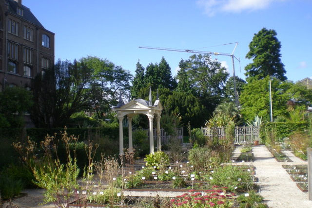 莱顿植物园