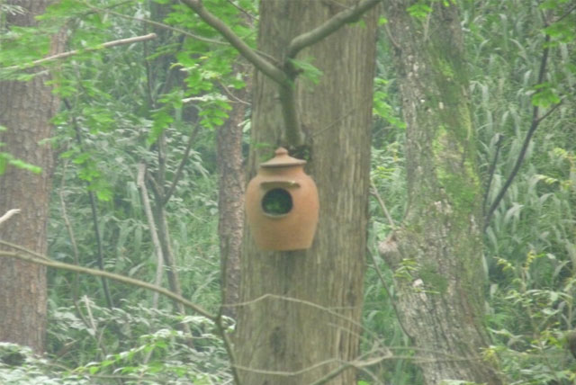 董寨鸟类保护区