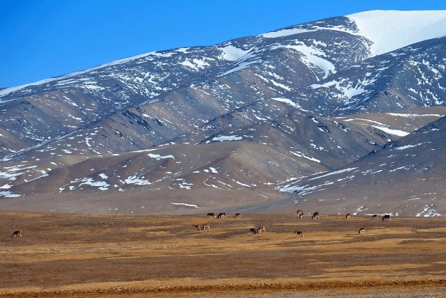 玉珠峰