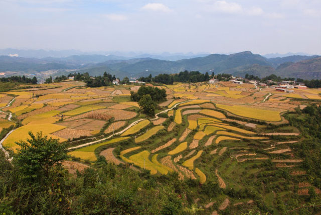 高坡苗乡