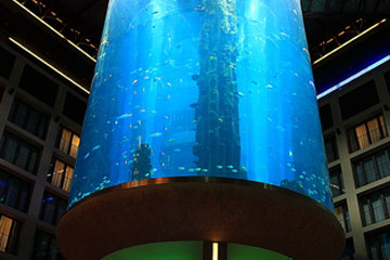 世界最大的柱形水族箱