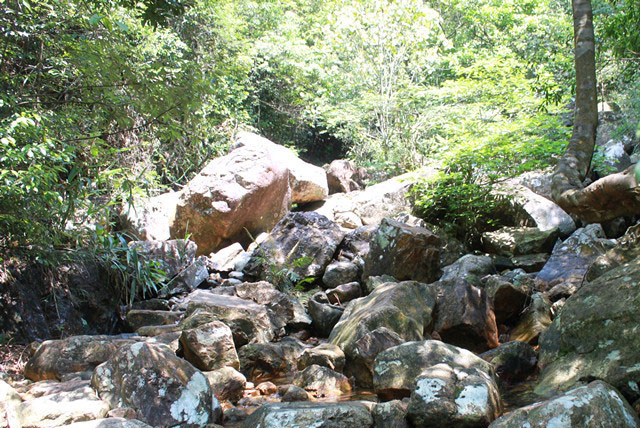 七目嶂风景区