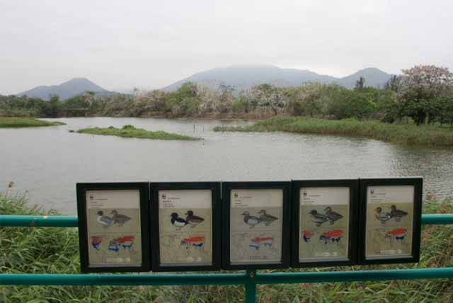 米埔自然护理区
