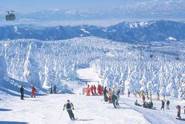 藏王温泉滑雪