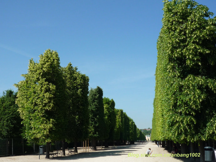 维也纳美泉宫 花园绿墙托起的凯旋门