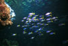 海底世界水族馆