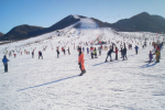 莲青山温泉滑雪场