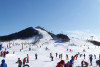 白山滑雪场