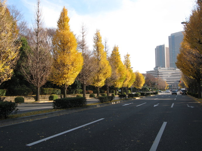 东京旅游_东京旅游攻略_东京旅游景点介绍_东