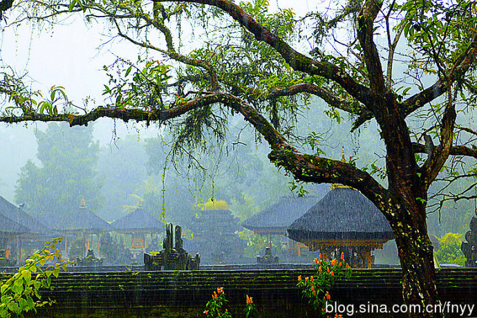 雨中的巴厘岛圣泉寺