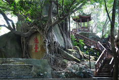 榕城风貌 于山游记