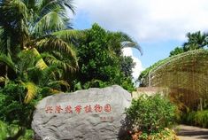 兴隆热带植物园景点介绍