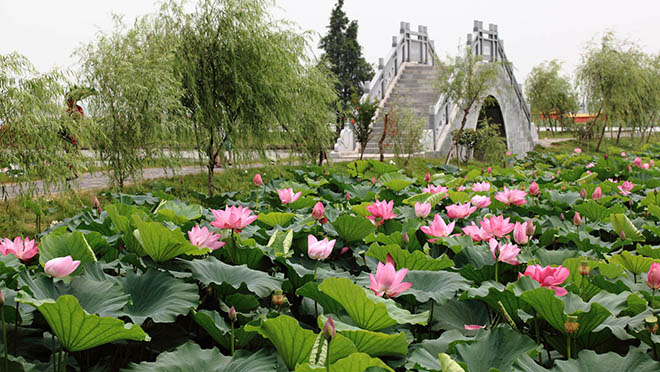 岳阳旅游_岳阳旅游攻略_岳阳旅游景点介绍_岳