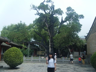 河南登封少林寺—嵩山—嵩阳书院